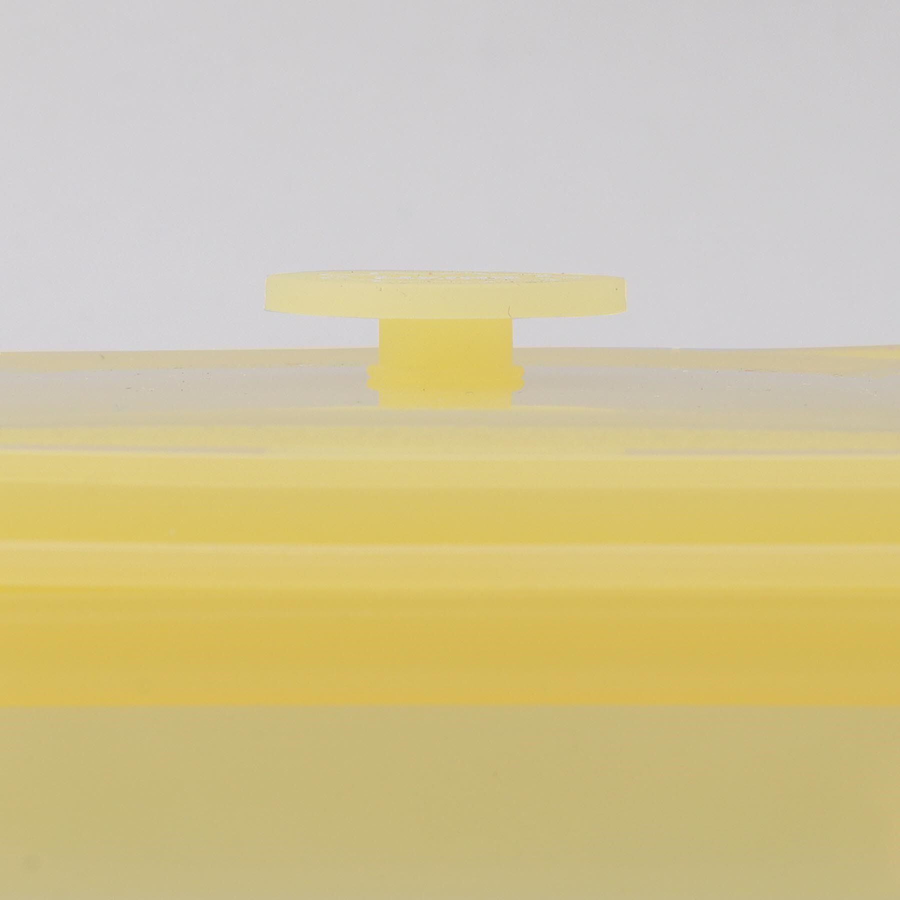 212 KITCHEN STORE「PUSH LOCK 600ml パステルオリーブ」|食器・キッチングッズ|