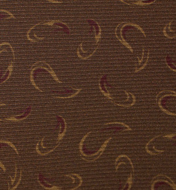 UNITED ARROWS「＜ERRICO FORMICOLA＞スモール ペイズリー プリント ネクタイ」|ネクタイ・蝶ネクタイ|