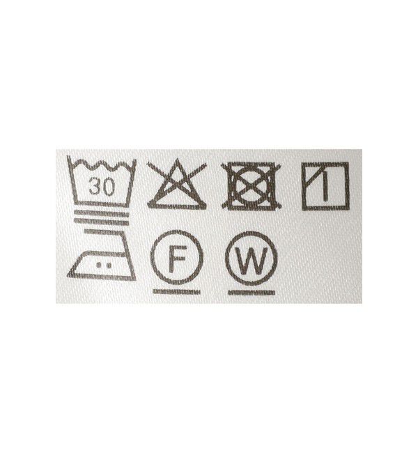 Ray BEAMS 「シアー ティアード クロップド シャツ」|シャツ・ブラウス|