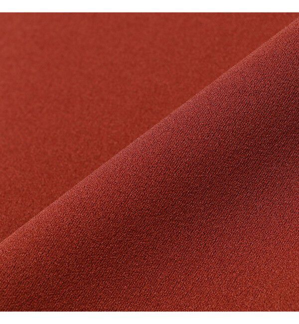 Demi-Luxe BEAMS 「ジョーゼット カットプルオーバー」|Tシャツ・カットソー|