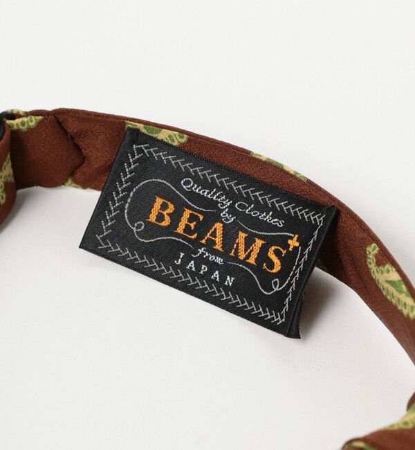 BEAMS PLUS「BEAMS PLUS / プリントペイズリー ボウタイ」|ネクタイ・蝶ネクタイ|