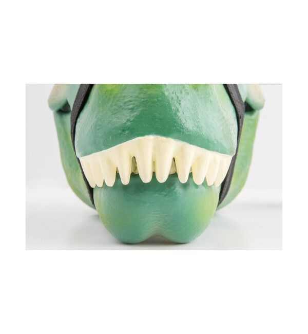 BEAMS「SUCK UK / Dinosaur Case」|その他|