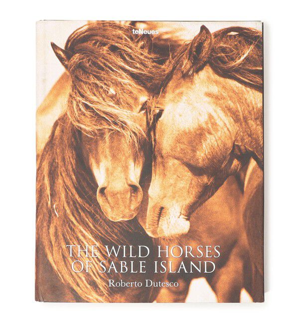 JAMES PERSE「THE WILD HORSES OF SABLE ISLAND BOOK ABK2099」|本・CD・DVD|