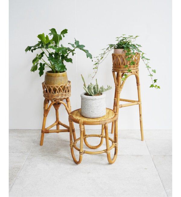 ACME「【Creer/クレエ】ラタンプランタースタンド」|その他|