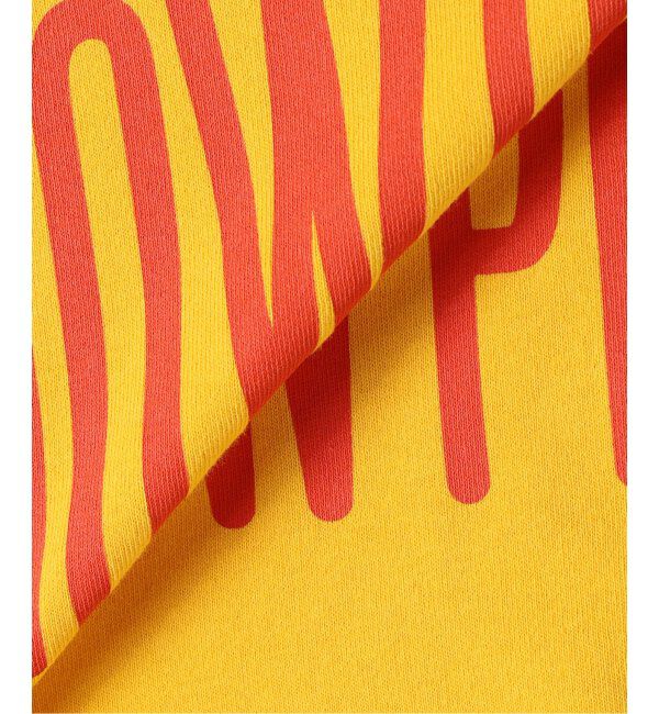 JOURNAL STANDARD relume「SNOWPEAK / スノーピーク 別注 &rdquo;トラペゾイド&rdquo; ロゴTシャツ」|Tシャツ・カットソー|