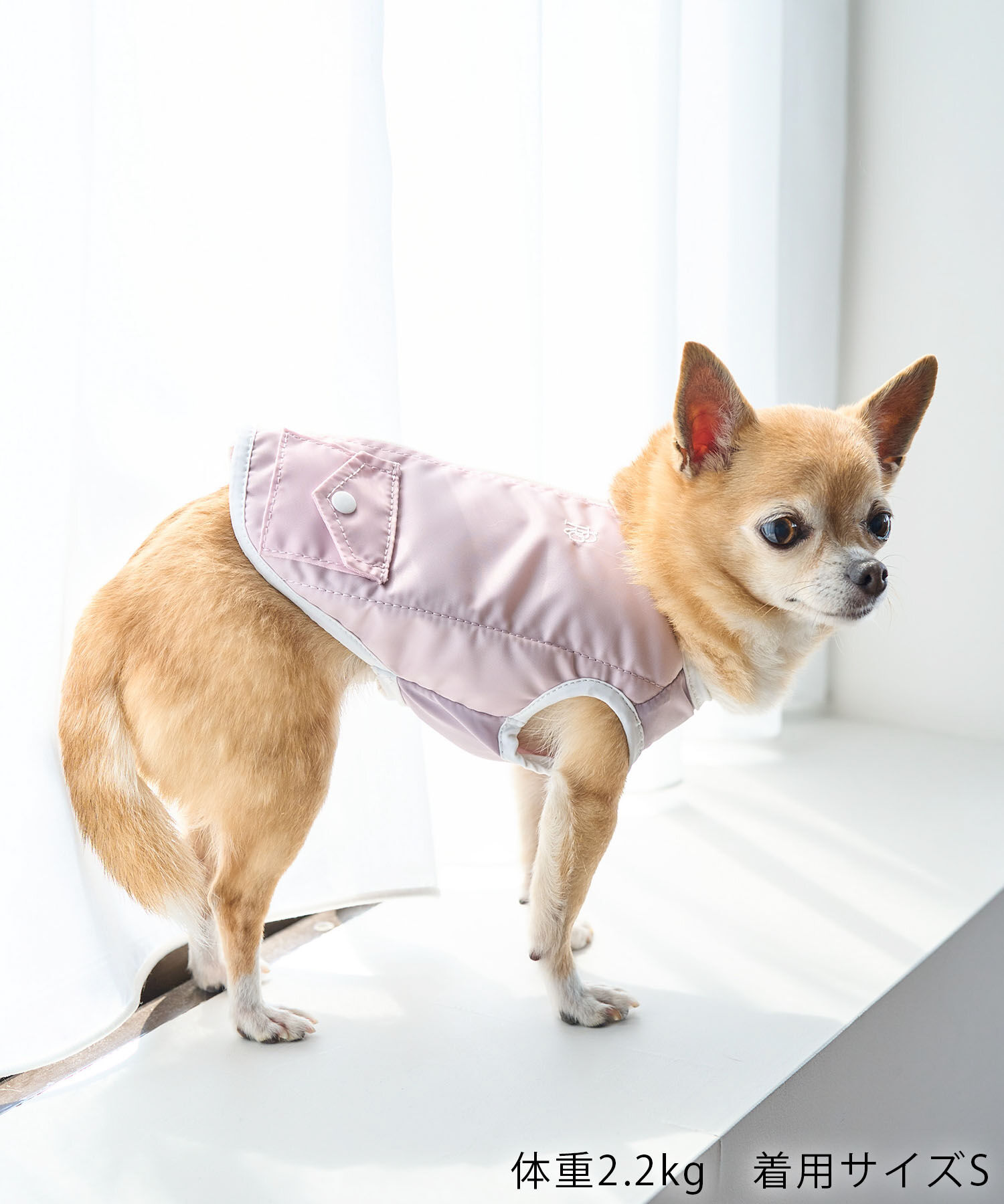 ROPE PICNIC PASSAGE「【DOG】保冷剤ポケット付きCOOLベスト」|その他|