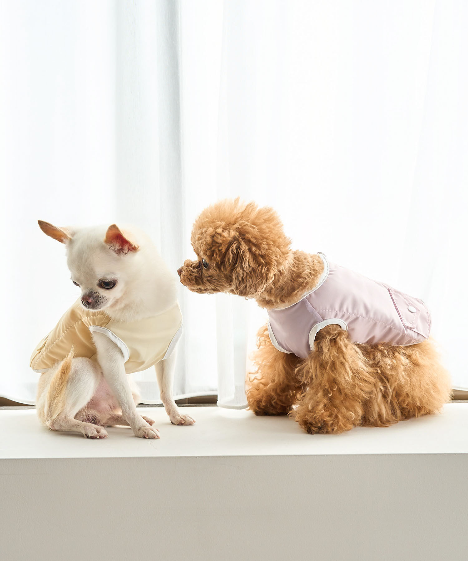 ROPE PICNIC PASSAGE「【DOG】保冷剤ポケット付きCOOLベスト」|その他|