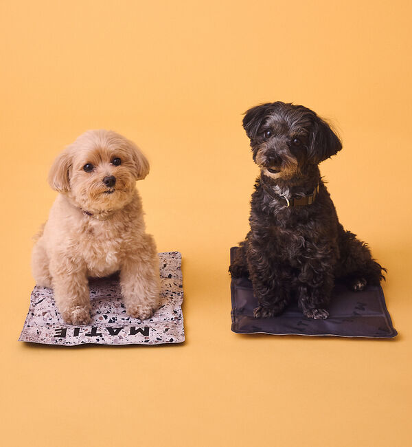 LOWELL things「MATIE/ 保冷ジェルマットL/ペットリュック対応【Direction by」|その他|