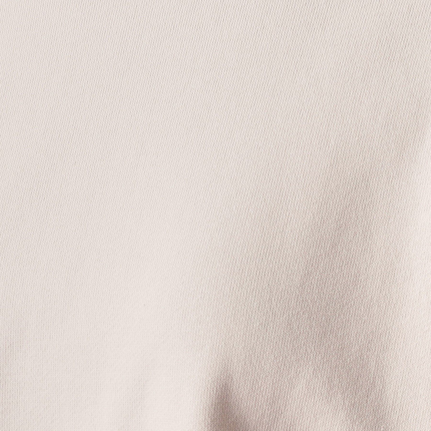 DRESSTERIOR「サスティナブルウラケコットンプルオーバー」|パーカー|