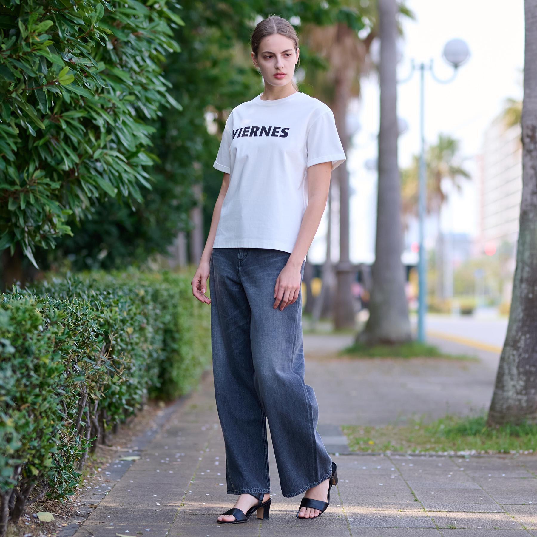 DRESSTERIOR「【接触冷感/抗菌防臭/消臭】アイスクリアコットン VIERNESロゴT」|Tシャツ・カットソー|