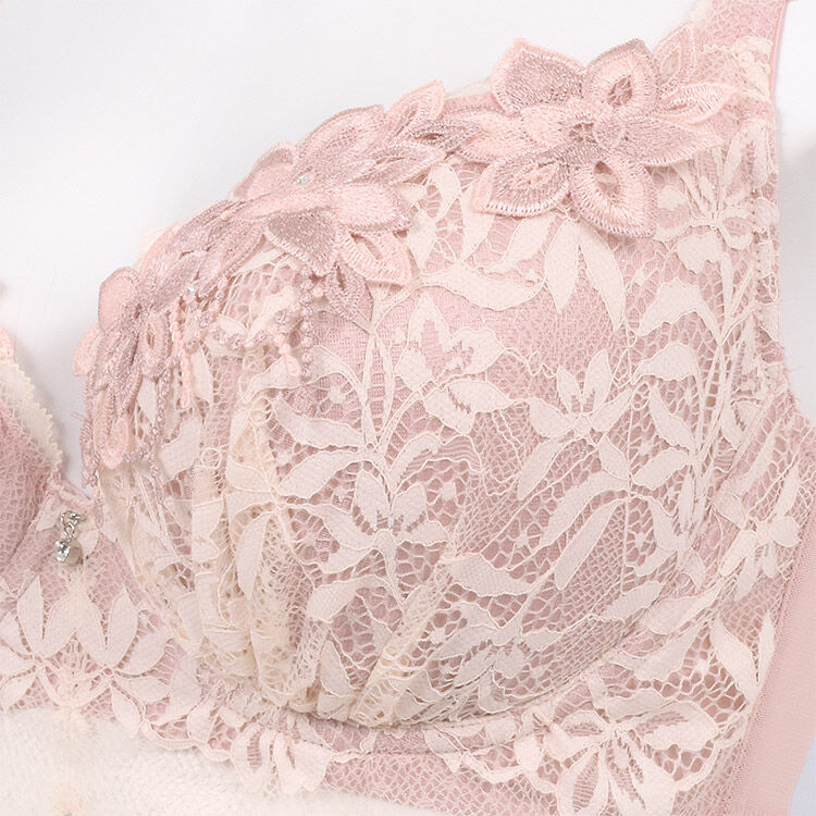 intesucre「アンテシュクレ なでしこブラ ブラジャー単品 H-J/65-85 IBT363」|インナー|