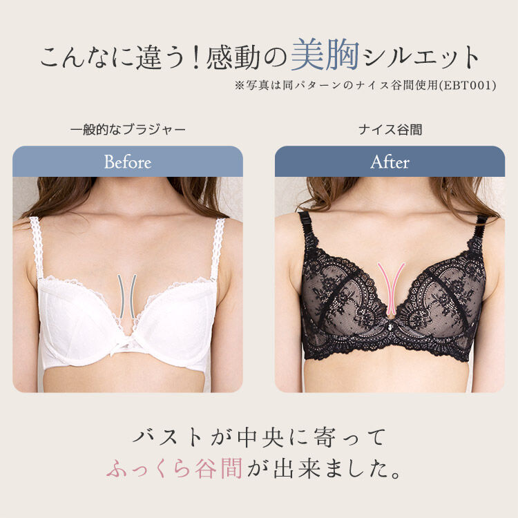 intesucre「アンテシュクレ ナイス谷間ブラ ブラジャー単品 くっきり谷間メイク C-F/65-75 TBT007」|インナー|