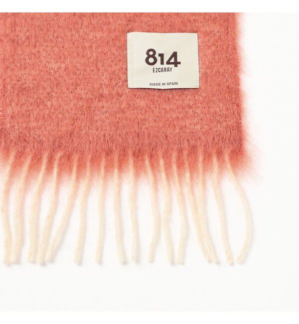 Ray BEAMS 「【別注】814 EZCARAY / 2トーン ストール」|ストール|