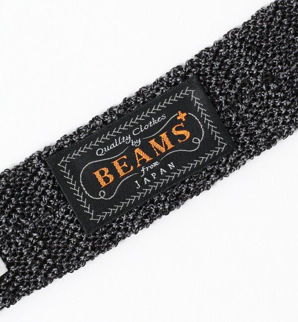 BEAMS PLUS「BEAMS PLUS / シルク ヘザー ニットタイ」|ネクタイ・蝶ネクタイ|