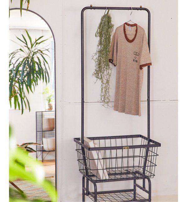 journal standard Furniture「【Brown./ブラウン】スパニッシュモス ハンギングブッシュ シルバー グリーン」|その他|