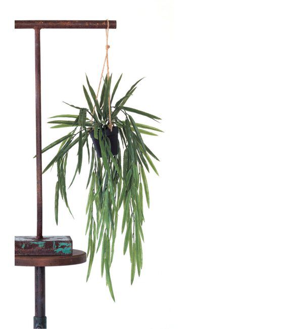 journal standard Furniture「【Brown./ブラウン】リプサリス ハンギングポット　フェイクグリーン」|その他|グリーン