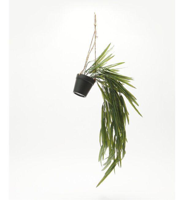 journal standard Furniture「【Brown./ブラウン】リプサリス ハンギングポット　フェイクグリーン」|その他|