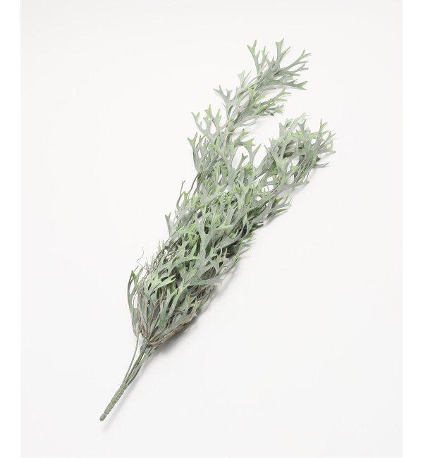 journal standard Furniture「【Brown./ブラウン】ビカクシダ ハンギングブッシュブルー　フェイクグリーン」|その他|