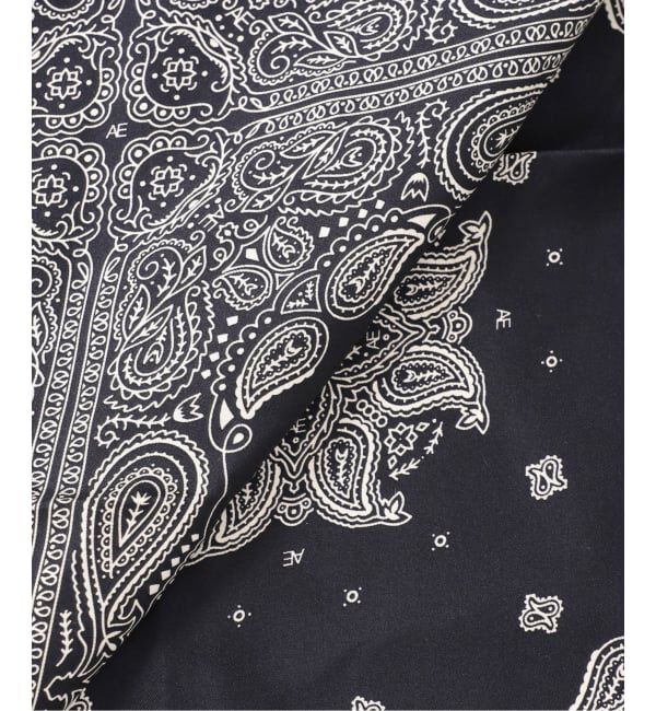 journal standard L'essage「《予約》【AENEIS/エネス】Minimal Bandana silk scarf：スカーフ」|バンダナ・スカーフ|