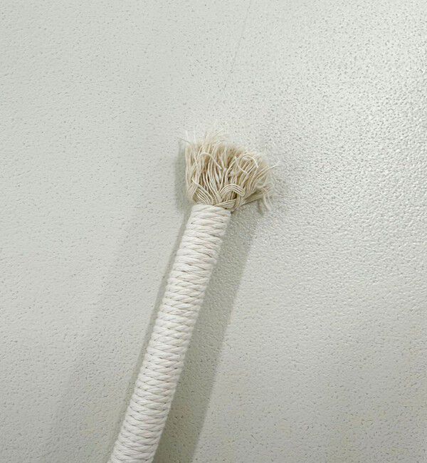 fredy emue「【FR PETS】PET TOY アニマル」|名刺入れ・カードケース|