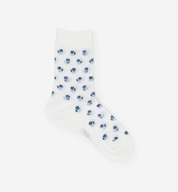 FALKE 「FALKE | 46906 COTTON TOUCH SOCKS SPECIAL EDITION WOMEN」|ソックス|