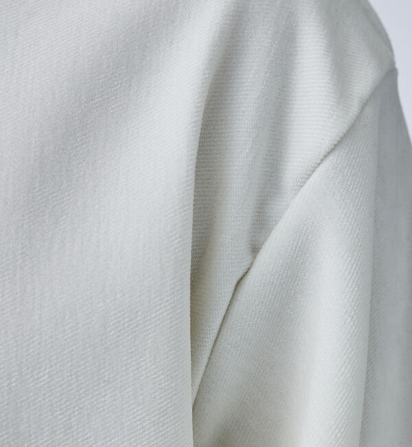 ABAHOUSE「【ベロア&times;コール】リラックス カットソー / スウェット」|Tシャツ・カットソー|