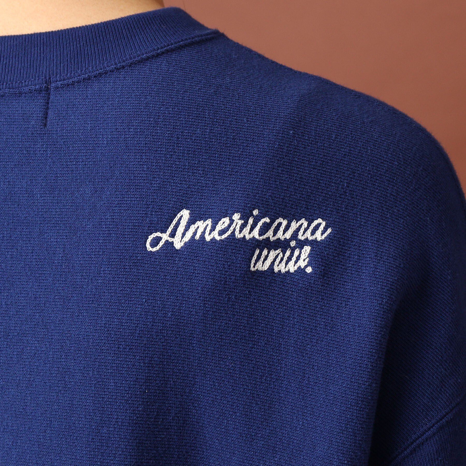 DRESSTERIOR「Americana（アメリカーナ）カレッジロゴスウェット」|パーカー|