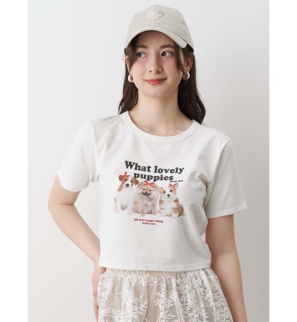 CALNAMUR「ASSORT PRINT TEE/アソートプリントTシャツ」|Tシャツ・カットソー|