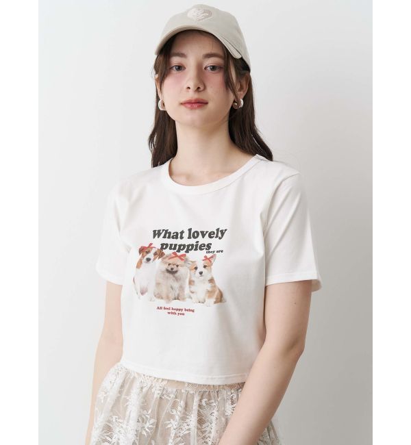 CALNAMUR「ASSORT PRINT TEE/アソートプリントTシャツ」|Tシャツ・カットソー|