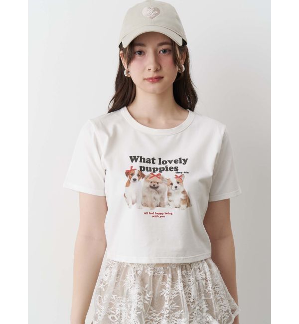 CALNAMUR「ASSORT PRINT TEE/アソートプリントTシャツ」|Tシャツ・カットソー|