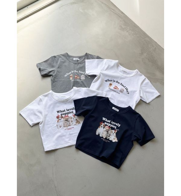 CALNAMUR「ASSORT PRINT TEE/アソートプリントTシャツ」|Tシャツ・カットソー|