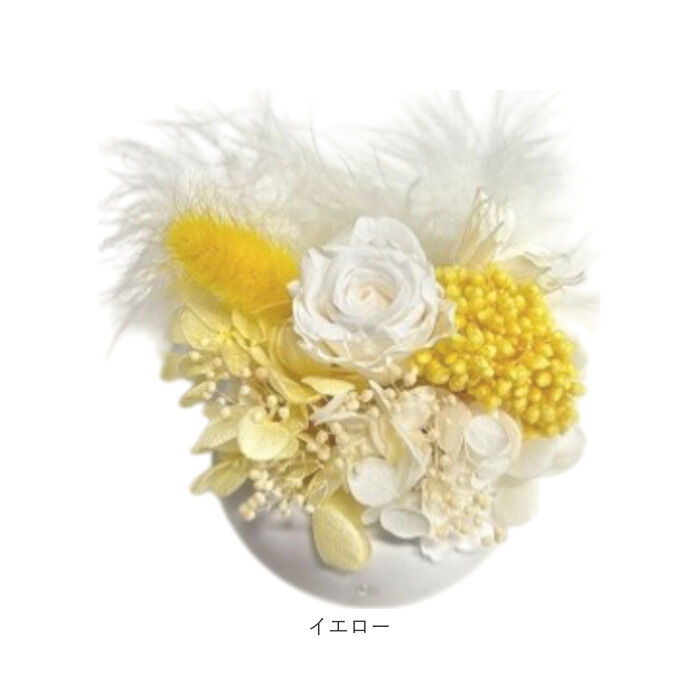 BACKYARD FAMILY「ブリザードフラワ- 通販 フラワーアレンジメント フラワーギフト お花 花 かわいい おしゃれ」|その他|