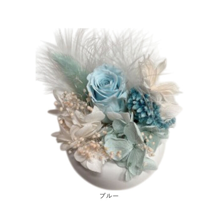 BACKYARD FAMILY「ブリザードフラワ- 通販 フラワーアレンジメント フラワーギフト お花 花 かわいい おしゃれ」|その他|