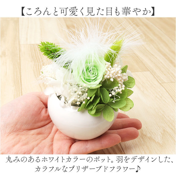 BACKYARD FAMILY「ブリザードフラワ- 通販 フラワーアレンジメント フラワーギフト お花 花 かわいい おしゃれ」|その他|