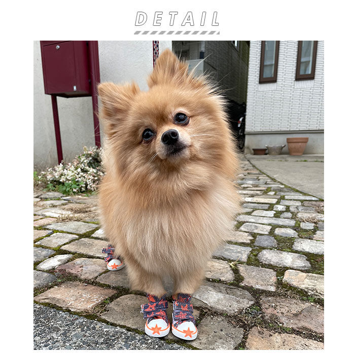 BACKYARD FAMILY「犬 くつ 通販 靴 ドッグ いぬ シューズ スニーカー 小型犬 中型犬 汚れ防止 足裏 肉球保護」|その他|