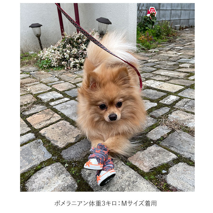 BACKYARD FAMILY「犬 くつ 通販 靴 ドッグ いぬ シューズ スニーカー 小型犬 中型犬 汚れ防止 足裏 肉球保護」|その他|