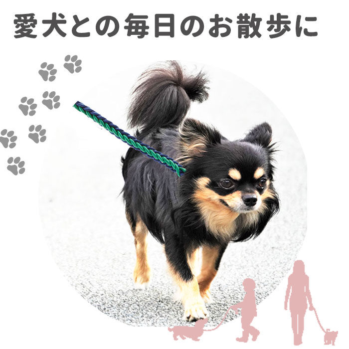 BACKYARD FAMILY「リード 犬 通販 小型犬 中型犬 大型犬 切れない イヌ いぬ 犬用リード 太め 握りやすい 軽量」|その他|