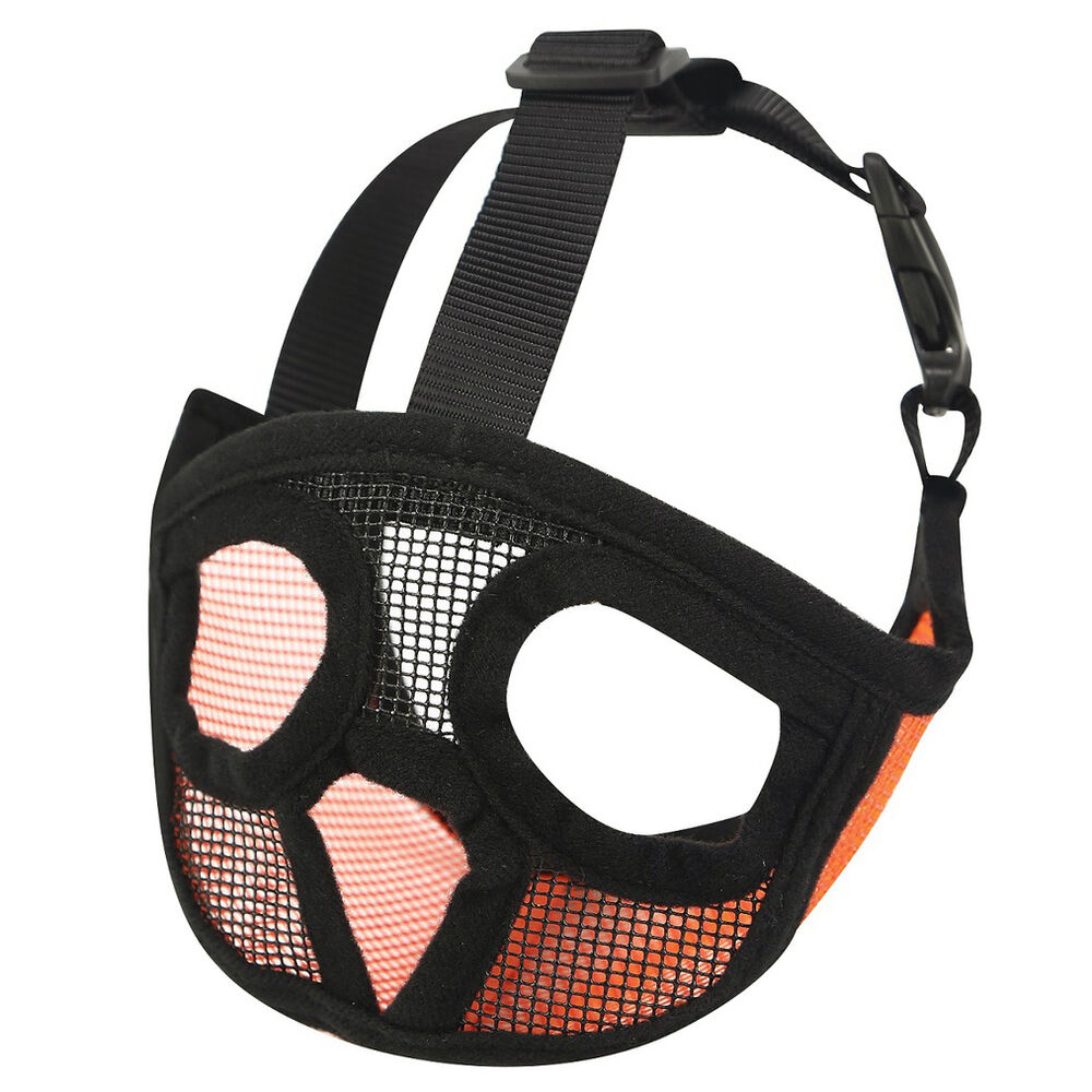 BACKYARD FAMILY「口輪 犬 通販 犬用 いぬ イヌ 短頭種 2タイプ 短い鼻 マズル 犬用マズル口輪 口を開ける」|その他|オレンジ1