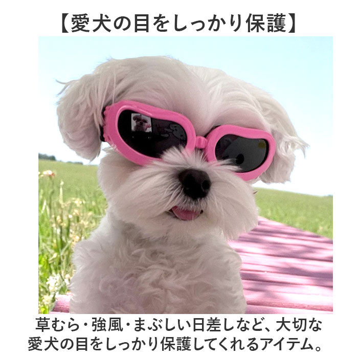 BACKYARD FAMILY「犬 ゴーグル 通販 ドッグゴーグル ペットゴーグル ペット眼鏡 サングラス 車酔い対策 目の保護」|その他|
