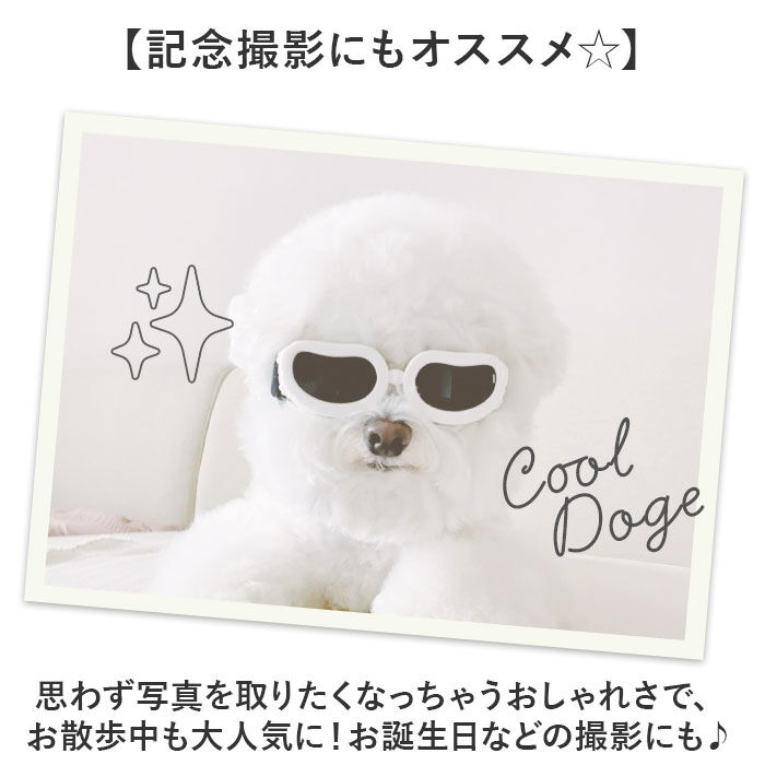 BACKYARD FAMILY「犬 ゴーグル 通販 ドッグゴーグル ペットゴーグル ペット眼鏡 サングラス 車酔い対策 目の保護」|その他|