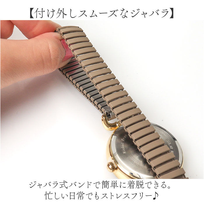 BACKYARD FAMILY「プレジール 腕時計 Plaisir TSS-904 通販 リストウォッチ ソーラーウォッチ」|腕時計|