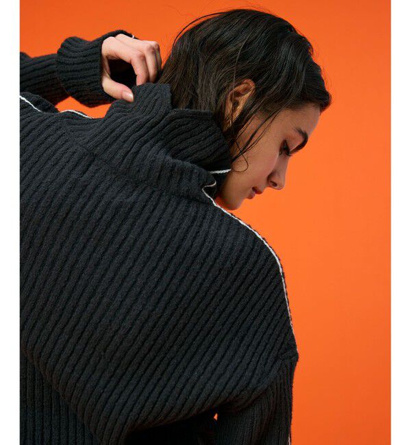 BEIGE,「【洗える】BERTAINA /  配色リンキングタートルネックニット」|ニット・セーター|