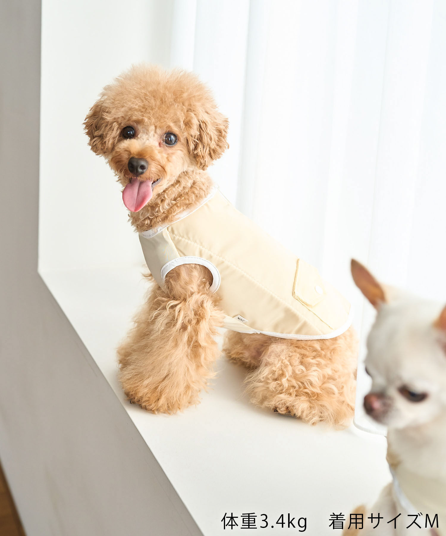 ROPE PICNIC PASSAGE「【DOG】保冷剤ポケット付きCOOLベスト」|その他|