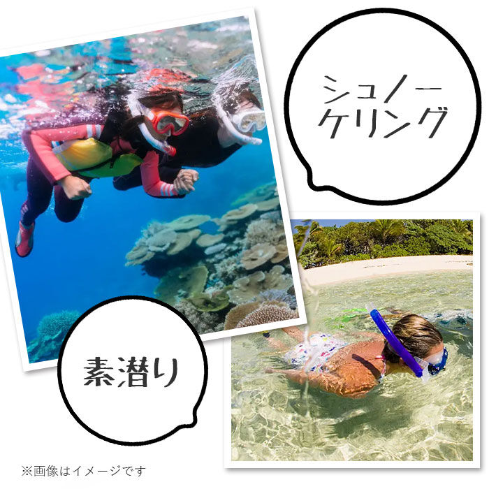 BACKYARD FAMILY「シュノーケル セット 通販 シュノーケルセット スイムセット 大人 シュノーケル セット メンズ」|その他|