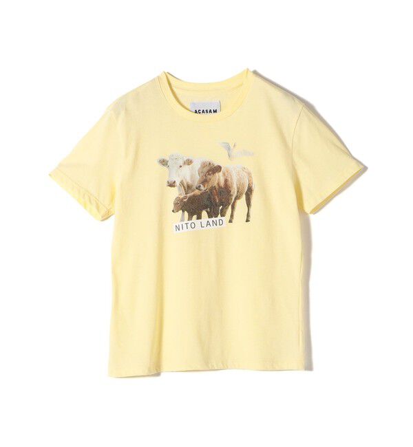 SHIPS for women「【SHIPS別注】ACASAM: フォト TEE」|Tシャツ・カットソー|