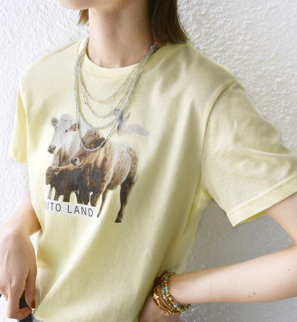 SHIPS for women「【SHIPS別注】ACASAM: フォト TEE」|Tシャツ・カットソー|