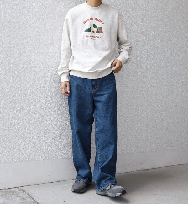 SHIPS any「【WEB限定】SHIPS any: NATIONAL PARK プリント スウェット 25AW(ユニセックス)◇」|スウェット・ジャージ|