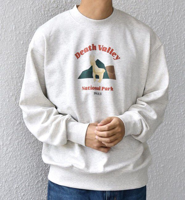 SHIPS any「【WEB限定】SHIPS any: NATIONAL PARK プリント スウェット 25AW(ユニセックス)◇」|スウェット・ジャージ|