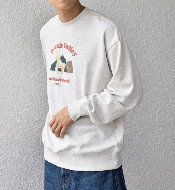 SHIPS any「【WEB限定】SHIPS any: NATIONAL PARK プリント スウェット 25AW(ユニセックス)◇」|スウェット・ジャージ|