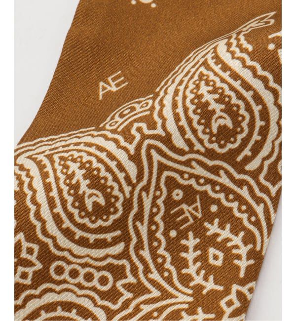 SLOBE IENA「AENEIS/エネス シルクバンダナ MINIMAL BANBANA」|バンダナ・スカーフ|